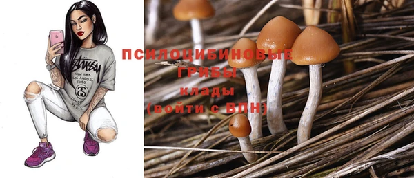 круглые Абаза